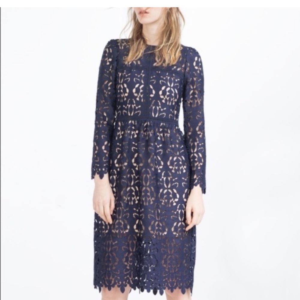 Zara Blue / Navy Lace Embroidery Dress Sz M